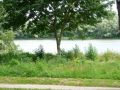 Le Parc 19 juillet 2012 (27).jpg